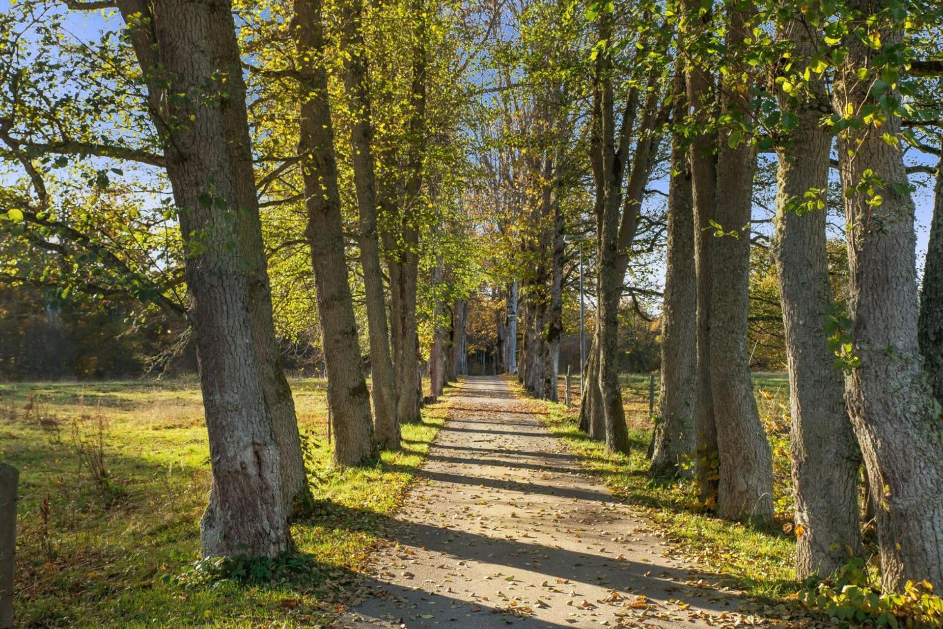 Grimsnas Herrgard Ljuder (Kronoberg) Bagian luar foto